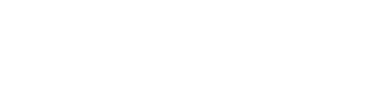 Elevem System
